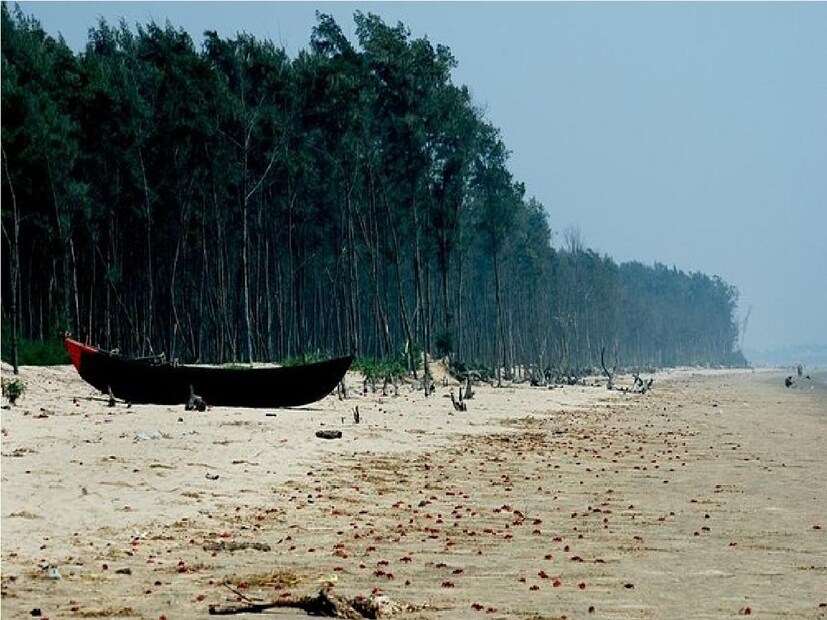 *তাজপুর সমুদ্র সৈকত গ্রাম্য প্রকৃতির মধ্যে। পর্যটক গ্রাম্য পরিবেশে শহুরে কৃত্রিম আদব-কায়দা ভুলে গ্রাম্য প্রকৃতি সঙ্গে নিজেকে মানিয়ে নিতে চাইলে তাজপুর সমুদ্র সৈকত আদর্শ জায়গা। ভাটার সময় সমুদ্র দূরে সরে যায়,  সৈকত তখন অনেক প্রশস্ত, খেলার উপযুক্ত। সৈকতে লাল কাঁকড়ার উন্মুক্ত বিচরণ। সংগৃহীত ছবি।  