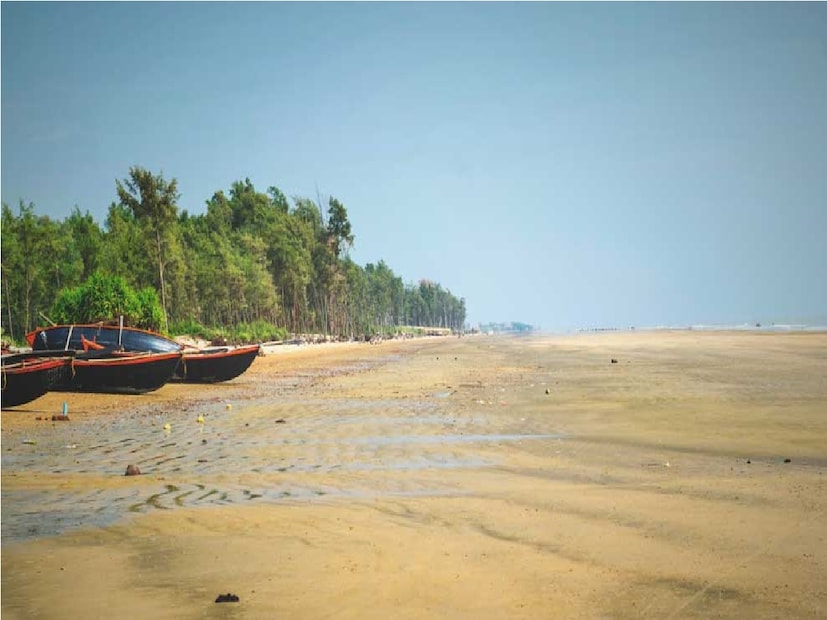 *সমুদ্র সৈকতে কংক্রিটের জঙ্গল দেখা থেকে মুক্তি দেবে নির্জন, নিবিড় ও কোলাহলমুক্ত সৈকত তাজপুর। এই ভালবাসার দিবসে সঙ্গী বা সঙ্গিনীকে আরও কাছে পেতে হলে নিবিড় নির্জন তাজপুর সমুদ্র সৈকত হোক আপনার গন্তব্য। সংগৃহীত ছবি।