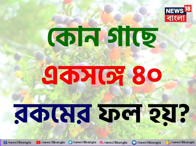 বলুন তো দেখি, কোন গাছে ৪০ রকমের আলাদা আলাদা ফল হয়? ফুলও নানা ধরনের? এ বিশ্বেই রয়েছে এমন এক অবাক করা গাছ। যা অনেকেই কাছেই অজানা রয়েছে।