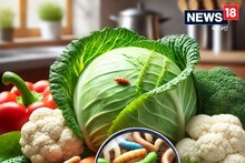 এই ৫ সবজি খাবার আগে সাবধান! ঠিক মতো না ধুলেই মাথায় উঠবে ক্ষতিকর পোঁকা, হবে ভয়ঙ্কর বিপদ...