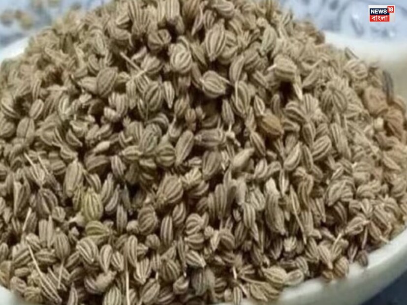 সেলারি থেকে জল বানিয়েও খেতে পারেন। এক গ্লাস জলে এক চামচ সেলারি মিশিয়ে সারারাত রেখে দিন এবং সকালে সেই জল ফুটিয়ে খান, আপনার ইউরিক অ্যাসিড নিয়ন্ত্রণে থাকবে। জয়েন্টে জমা হওয়া পিউরিন ক্রিস্টাল ভেঙে যায় এবং পায়ের আঙ্গুলের ব্যথাও কম হয়।(Disclaimer: এই প্রতিবেদনটি কেবলমাত্র সাধারণ তথ্যের জন্য, তাই বিস্তারিত জানতে হলে সর্বদা বিশেষজ্ঞের পরামর্শ নিন)