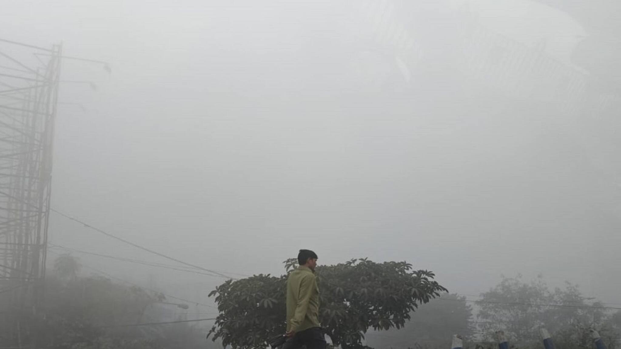 IMD Weather Update: ফের শীতের কামব্যাক! ঘন কুয়াশাকে সঙ্গী করে শীতের শেষ চোখরাঙানি ৬ জেলায়, আবহাওয়ার বড় খবর