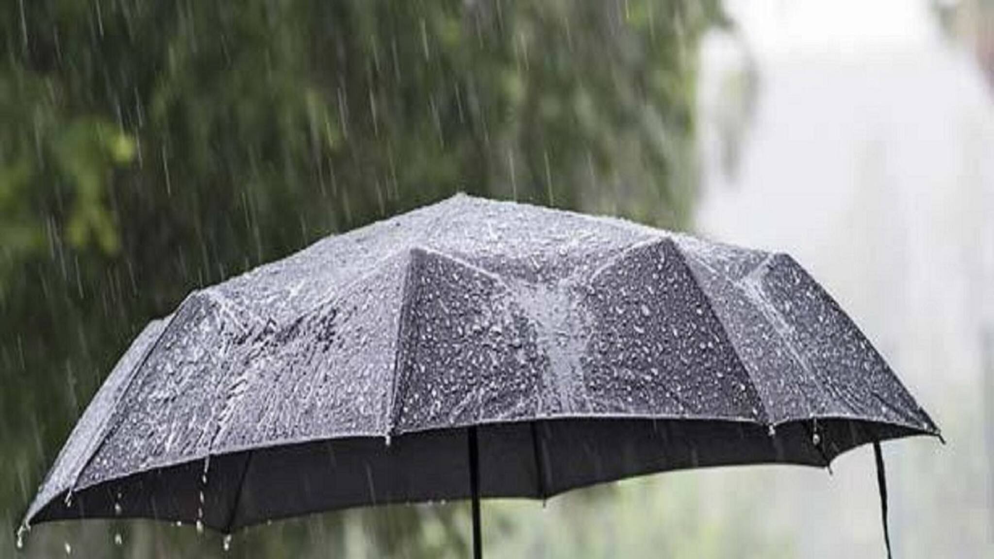 বাংলার আবহাওয়ায় বড় 'কনফিউশন'! বৃষ্টি হবে কোন কোন জেলায়? গরমের দাপট কবে থেকে? রইল আপডেট