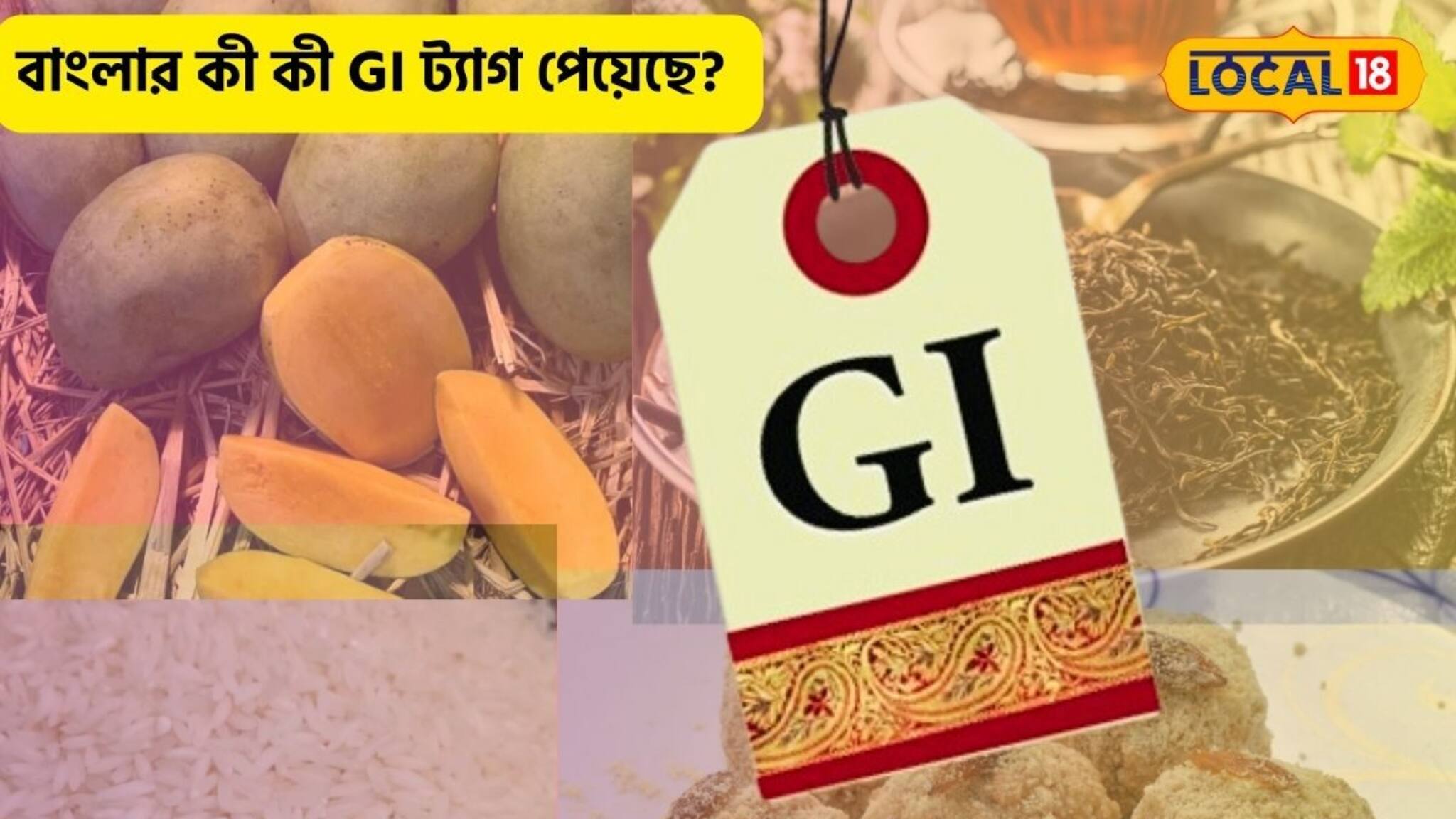 GI ট্যাগ পেয়ে কোন কোন বাংলার 'রত্ন' বিশ্বজয় করেছে? আজই হোক আপনার knowledge test