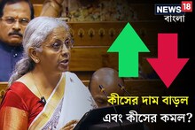 সস্তা হল কোন কোন জিনিস? দাম বাড়ল কীসের! নির্মলার বাজেটে বড় সুখবর মধ্যবিত্তের!
