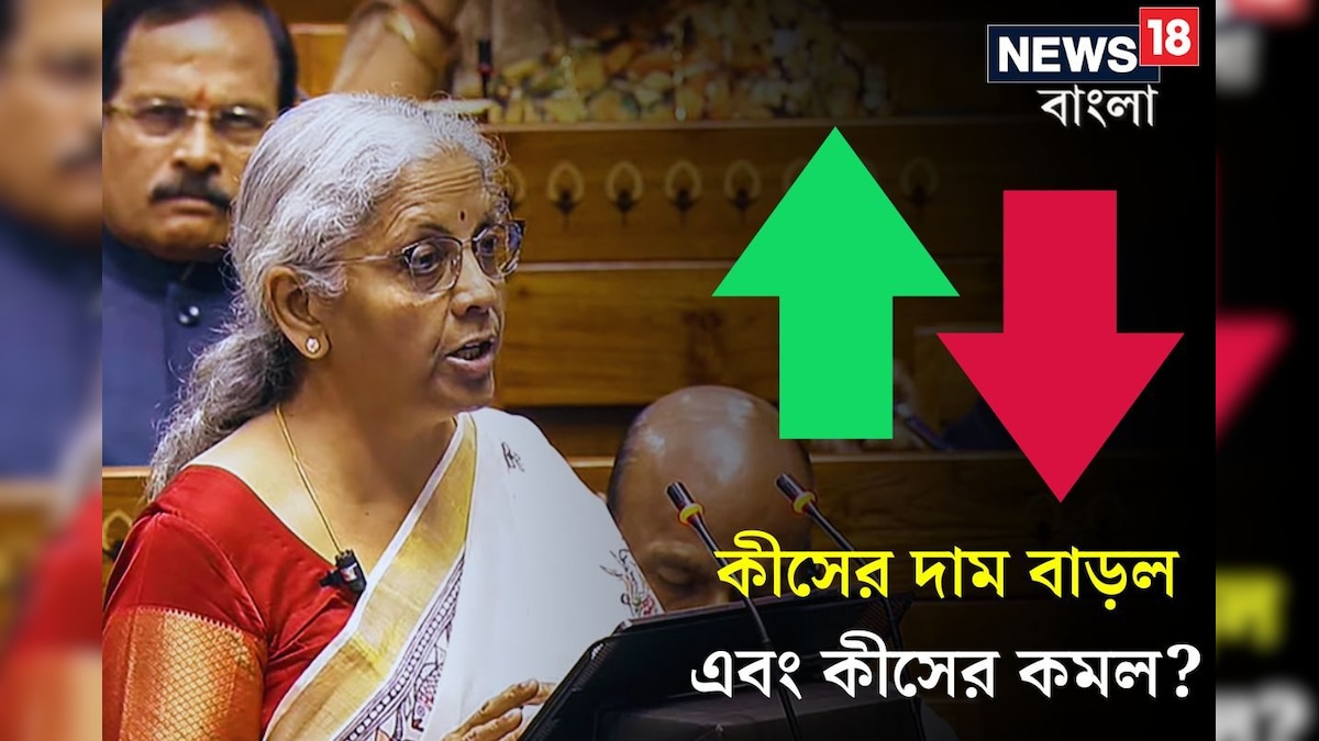 সস্তা হল কোন কোন জিনিস? দাম বাড়ল কীসের! নির্মলার বাজেটে বড় সুখবর মধ্যবিত্তের!