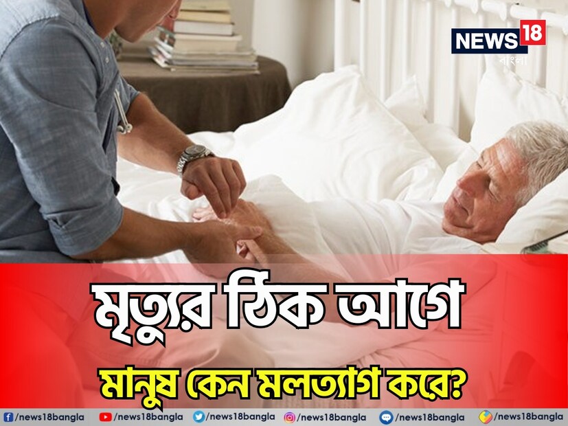 মৃত্যুর পরে কী ঘটে, তা এখনও এক গভীর রহস্য। বহু বছর ধরে মানবজাতি এর উত্তর খুঁজছে। এটি এমন একটি প্রশ্ন যা সবাইকে কৌতূহলী করে তোলে, এবং এর ব্যাখ্যা খুঁজতে আধ্যাত্মিকভাবে বহু প্রচেষ্টা চালানো হয়েছে। তবে, হিন্দু পুরাণগুলির মধ্যে একটি, 'গরুড় পুরাণ', এতে স্পষ্ট ব্যাখ্যা দেওয়া হয়েছে। তবে তার আগে বিজ্ঞানসম্মত কারণগুলি জেনে নেওয়া যাক। 