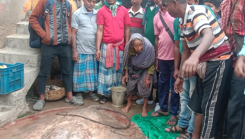 *মৎস্যজীবীরা মনে করছেন খাবারের সন্ধানে ভুল করে সমুদ্র থেকে নদীতে ঢুকে পড়েছিল সে। যে কারণে মৎস্যজীবীদের জালে ধরা পড়ে ওই মাছ।