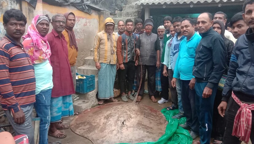 *মাছটির বিজ্ঞানসম্মত নাম 'হেপানাস আমেরিকানাস'। মাছটিকে বাজারে আনতেই মানুষের ভিড় উপচে পড়ে। তবে সময় যত গড়িয়েছে মাছটির বাজারমূল্য তত বেড়েছে।