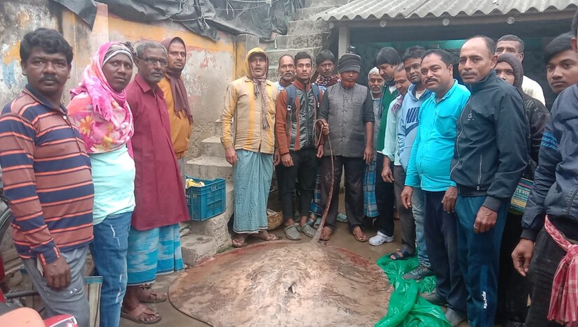 *বসিরহাটের সুন্দরবন লাগোয়া প্রত্যন্ত এলাকা হিঙ্গলগঞ্জ ব্লকের সুন্দরবনের নদীতে প্রদীপ হালদারের পাতা জালে একটি বিশালাকার শংকর মাছ ধরা পড়ে। সোমবার সকালে জাল তুলতে গিয়ে মৎসজীবী দেখতে পায় বিশাল আকারের একটি মাছ, সঙ্গে সঙ্গে আশেপাশের লোকজন ডেকে উদ্ধার করা হয় সেই মাছ, তারপর একটি ইঞ্জিন ভ্যানে করে নিয়ে আসে বাঁকড়া মৎস্য আড়তে। সেই মাছ দেখতে ভিড় জমে যায় বাজারে।