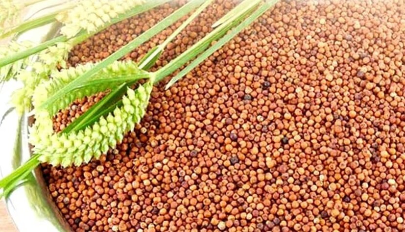 ভুট্টা, বাজরা, রাগী, জোয়ার, সুজি, ডালিয়া, ওটস, কিনোয়া, সাবুদানা রাখতে পারেন ডায়েটে ঘুরিয়ে ফিরিয়ে৷ এই খাবারগুলি ইউরিক অ্যাসিড নিয়ন্ত্রণ করে৷