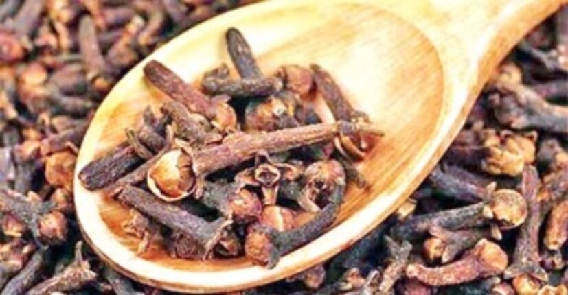 লবঙ্গ—প্রাকৃতিক ব্যথানাশক ও জীবাণুনাশক। ব্যবহার: ২-৩টি লবঙ্গ চিবান বা লবঙ্গ তেল মাড়িতে লাগান। এটি মাড়ির ফোলা ও ব্যথা কমাতে সাহায্য করে। লবঙ্গ দীর্ঘদিন ধরে দাঁত ও মাড়ির সমস্যা সমাধানে ব্যবহৃত হয়ে আসছে।