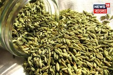 মিনারেল-ক্যালসিয়াম ভরপুর এই মশলা খান সঠিক নিয়মে! রোজ এক চুটকি খেলেই সুগার-প্রেশার লোপাট
