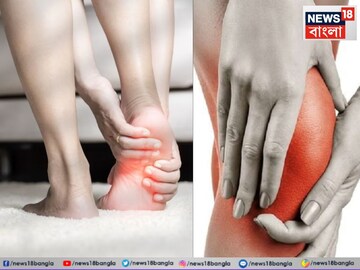 মুঠো মুঠো 'ট্যাবলেট' ছাড়ুন...! ক্যালসিয়ামের আড়ৎ এই 'সাদা' জিনিস, ১০ গোল দেবে দুধ-পনিরকেও!