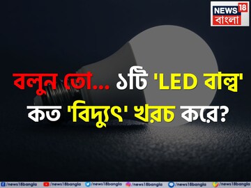 ১টি LED বাল্ব কত 'বিদ্যুৎ' খরচ করে বলুন তো...? টাকার 'অঙ্ক' শুনলেই চমকাবেন, গ্যারান্টি!