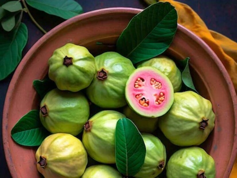 পেয়ারার একটি শীতল প্রভাব রয়েছে। অতিরিক্ত মাত্রায় পেয়ারা সেবন করলে গলাব্যথা, সর্দিকাশির মতো সমস্যা হতে পারে। তাই ঠান্ডার ধাত থাকলে অতিরিক্ত পেয়ারা খাওয়া থেকে বিরত থাকতে হবে।