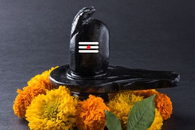 নীলষষ্ঠীর পবিত্র দিনে মা ষষ্ঠীর পুজো দিলে সন্তানের জীবনে সমস্ত বাধা-বিপত্তি দূর হয়ে যায়৷ এবং আয়-উন্নতি পথ খুলে যাবে৷