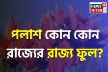 পলাশ ভারতের কোন দুই রাজ্যের রাজ্য ফুল? উত্তর দিতে ব্য়র্থ ৯৯ শতাংশ