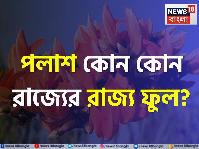 পলাশ ফুল আমাদের সকলেরই খুব প্রিয়। বসন্ত কালে লাল পলাশ দেখতে পুরুলিয়া-বাঁকুড়ায় ভিড় জমান পর্যটকরা। কিন্তু বলুন তো দেখি, পলাশকে কোন রাজ্যের রাজ্য ফুলের তকমা পেয়েছে।