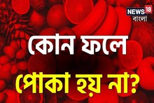 ফল তো সকলেই খাই! বলুন তো কোন ফলে পোকা হয় না? নামটা কিন্তু খুবই পরিচিত!