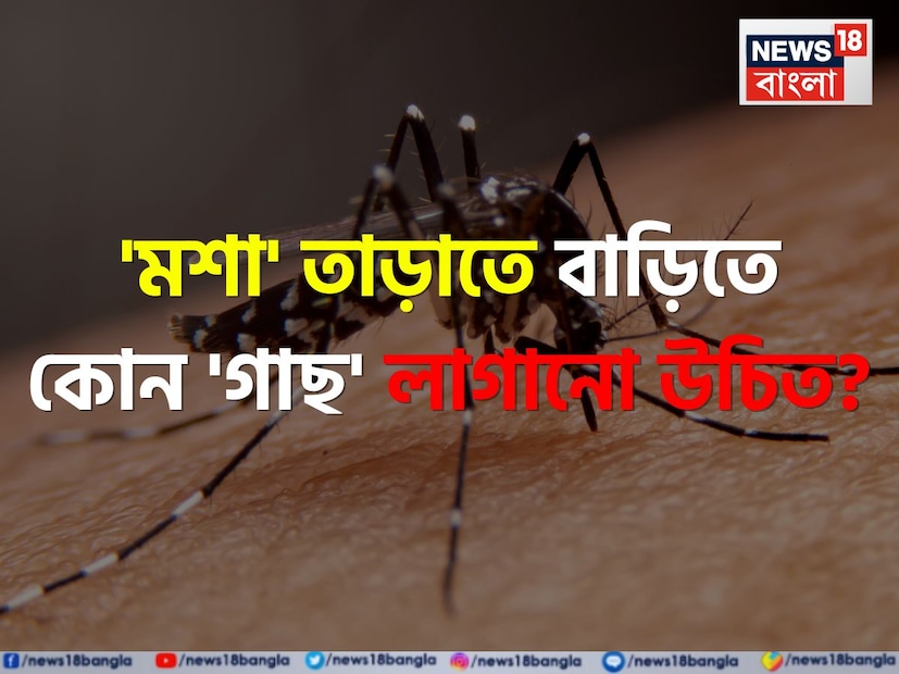 আজ এই প্রতিবেদনে সাধারণ জ্ঞানের সেই বিশেষ দিক নিয়ে আলোচনা করব যা ব্যবহারিক জীবনে গুরুত্বপূর্ণ। এই তথ্যগুলি যেমন জিকে বাড়িয়ে আপনাকে তথ্য সমৃদ্ধ হতে সাহায্য করে, ঠিক তেমনই জীবনেও নানা সমস্যার সমাধানে কাজে লাগে।