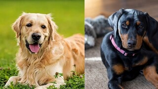 প্রতীকী ছবি প্রতীকী ছবি