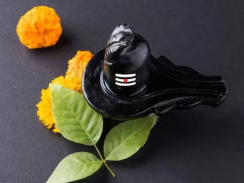 বিল্বপত্র বা বেলপাতা নিবেদনের সময় দেখবেন যেন পাতার মসৃণ দিকটি বিগ্রহকে স্পর্শ করে থাকে৷ অমসৃণ দিকটি বাইরের দিকে যেন থাকে, সেদিকে খেয়াল রাখুন৷