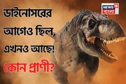 এই 'প্রাণী' ডাইনোসরেরও আগের, এখনও দিব্যি ঘুরেফিরে বেড়াচ্ছে পৃথিবীতে...! বলুন তো কোন প্রাণী