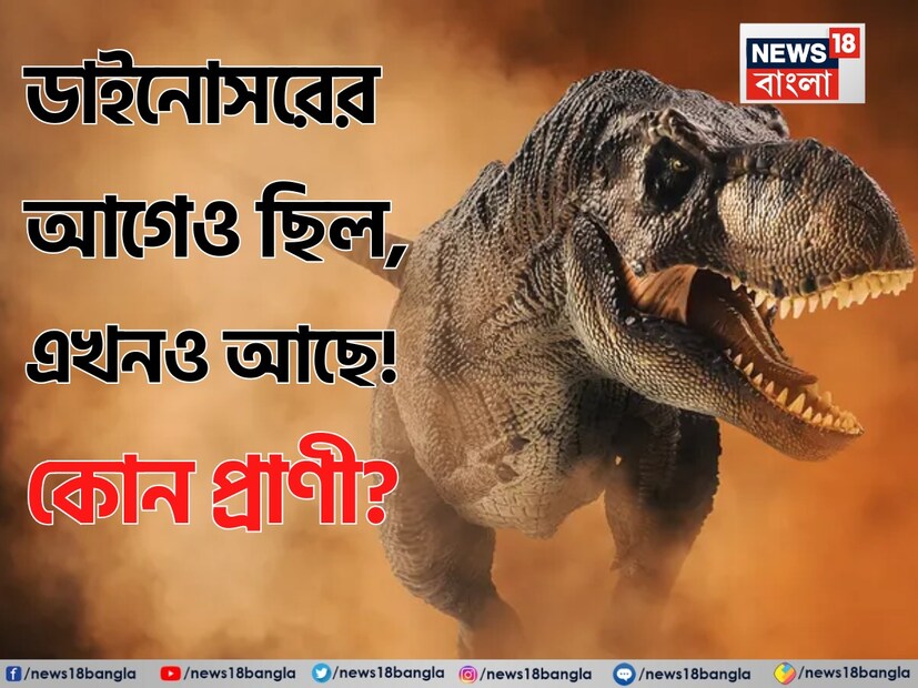 সবচেয়ে আশ্চর্যের বিষয় হল, এই সমস্ত প্রাগৈতিহাসিক প্রাণীদের মধ্যে জেলিফিশই সবচেয়ে পুরনো। প্রায় ৭০ কোটি বছর ধরে সমুদ্রের গভীরে টিকে রয়েছে এই মস্তিষ্কবিহীন, হৃৎপিণ্ডহীন প্রাণীটি। বিবর্তনের ধাপ পেরিয়ে, জলবায়ুর পরিবর্তন সয়ে নিয়ে, অসংখ্য প্রজাতির বিলুপ্তির সাক্ষী থেকেও জেলিফিশ আজও বেঁচে রয়েছে। এটাই প্রমাণ করে, প্রকৃতিতে টিকে থাকার জন্য সবসময় জটিল শরীরের প্রয়োজন হয় না—কখনও কখনও সরলতাই দীর্ঘায়ুর আসল চাবিকাঠি!