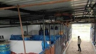 ভয়াবহ দুর্ঘটনা ঘটল হিমঘরে। হিমঘরে অ্যামোনিয়া গ্যাস লিক করে মৃত্যু হল দুজনের।