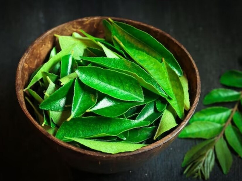 পাতাটির নাম কারিপাতা। দক্ষিণী রান্নার অপরিহার্য অঙ্গ হল কারিপাতা। ইদানীং বাঙালি হেঁশেলেও কারিপাতার অবাধ বিচরণ। যে-কোনও রান্নায় কয়েকটা কারিপাতা ছড়িয়ে দিলেই অন্য স্বাদ চলে আসে! তবে শুধু স্বাদ বৃদ্ধিই নয়, কারিপাতার রয়েছে হরেক ওষধি গুণ। সকালে খালিপেটে কারিপাতা ভেজানো জল খেয়ে দেখুন, কয়েকদিনেই বহু জটিল-কঠিন রোগকে বুড়ো আঙুল দেখাতে পারবেন--