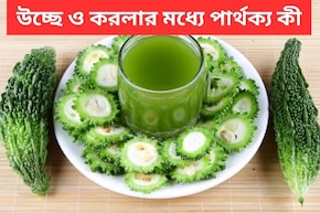 উচ্ছে ও করলা কিন্তু এক নয়! দেখতে মিল হলেও পার্থক্য কিন্তু বড়—জেনে নিন বোঝার সহজ উপায়