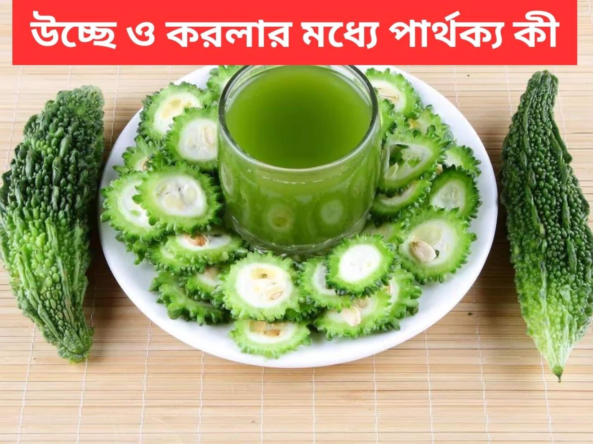 Difference between Ucche and Karela: উচ্ছে ও করলা কিন্তু এক নয়! দেখতে মিল হলেও পার্থক্য কিন্তু বড়—জেনে নিন বোঝার সহজ উপায়