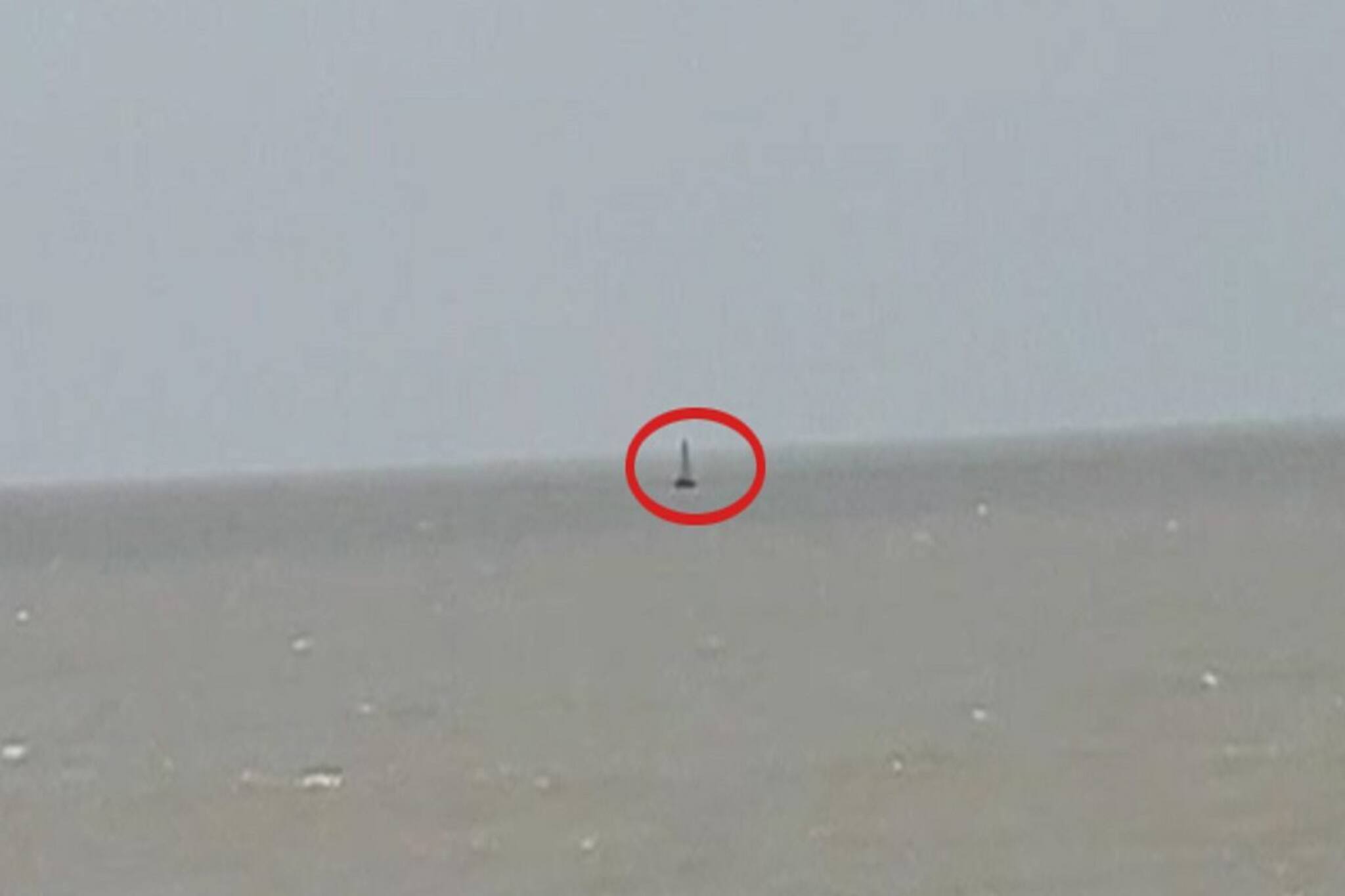 দিঘার সমুদ্রে ওটা কী ভাসছে! সর্বনাশ! এত বড়! ওটা যে...দেখেই আঁতকে উঠল সকলে