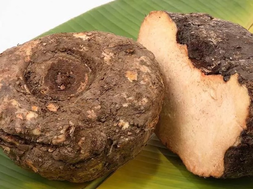 আগে বাড়ির পিছনে বা বর্জ্য জমিতে সুরান এক ধরনের ওল লাগানো হত, দীপাবলির সময় মাটি থেকে তুলে করা হত রান্না। তবে এখন অনেক জায়গায় কৃষকরা ব্যাপক হারে সুরান চাষ করছেন। এটা দারুণ করে রান্না করলে খেতে খুবই সুস্বাদু। রসিয়ে-কষিয়ে এটি  একে নিরামিষাশীদের ‘মটন’-ও বলেন।