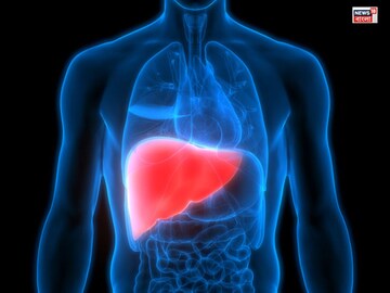 Fatty Liver Treatment: বিকল হবে লিভার! ভুলেও খাবেন না এই ৫ খাবার! ফ‍্যাটি লিভার তছনছ করবে