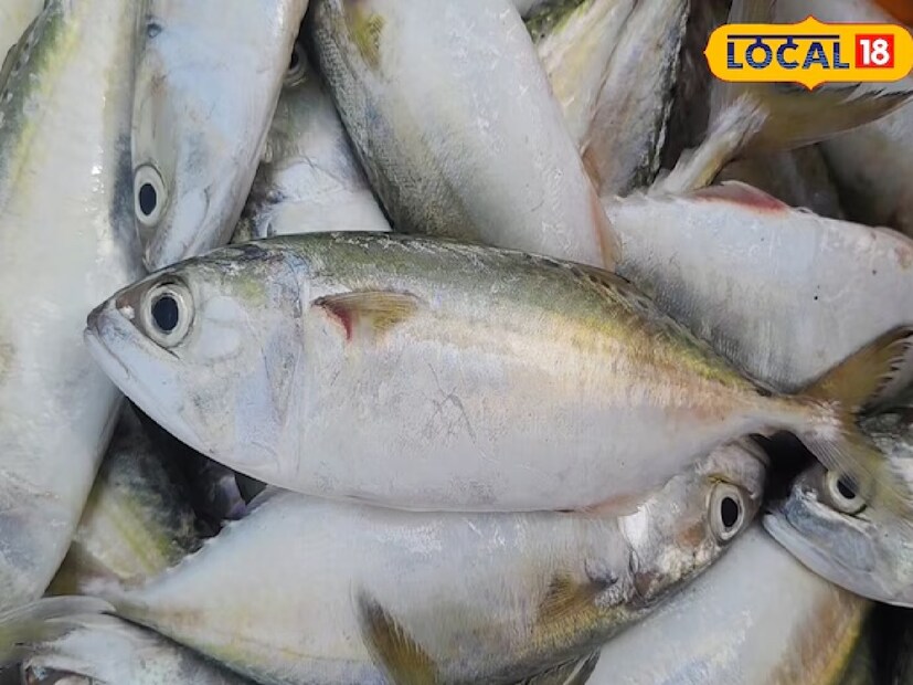 এই মাছ দেখতে বেশ আকর্ষণীয়। শরীরের রঙ রুপালি, পিঠের দিকে হালকা সবুজ-হলুদ আভা থাকে। সামান্য উঁচু পিঠবিশিষ্ট এই মাছ দৈর্ঘ্যে প্রায় এক ইঞ্চি, ছোট লেজ, চোখের কাছে একটি ছোট পাখনা ও ত্রিভুজাকৃতি মাথা থাকে। শরীরে খুব কম আঁশ ও কাঁটা থাকায় এটি খেতে বেশ সুবিধাজনক।