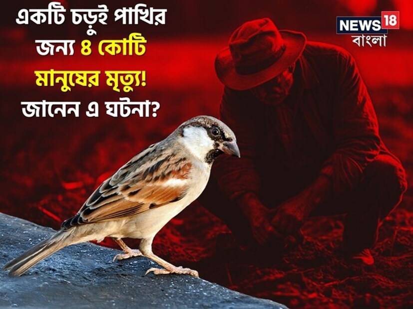 চড়ুই পাখির জন্য কত মানুষের মৃত্যু হতে পারে, এমনটা ভেবেছেন কখনও? অথচ বাস্তবে কিন্তু এমনটাই ঘটেছিল। সালটা ১৯৫৮। মাও জে দং-ই তখন চিনের ‘রাজা’। পাশাপাশি পিপল রিপাবলিক অব চায়নার সর্বময় চেয়ারম্যান। তো সেই পৃথিবী বিখ্যাত বিতর্কিত কমিউনিস্ট নেতাই সে বছর সিদ্ধান্ত নিলেন, চড়ুই নিধন করতে হবে।