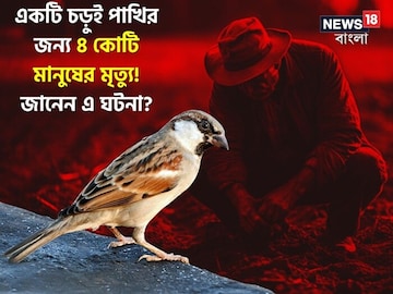 একটা পাখি মেরে ফেলল চার কোটি মানুষকে! কোনও গল্প নয়, একদমই সত্যি! কী করে ঘটল এমন? একটা পাখি মেরে ফেলল চার কোটি মানুষকে! কোনও গল্প নয়, একদমই সত্যি! কী করে ঘটল এমন?