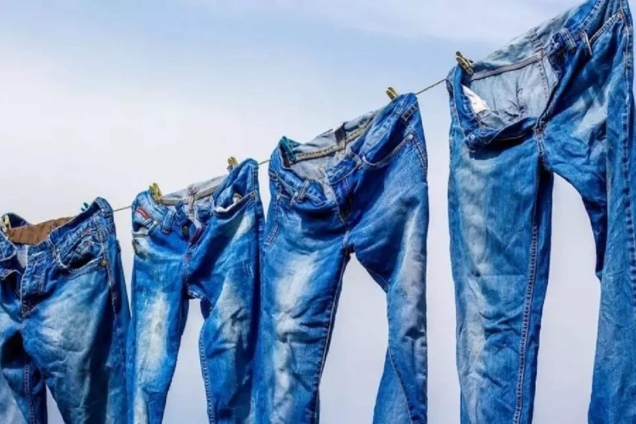 জিন্সের প্যান্ট কতদিন অন্তর কাচা উচিত? জানেন না অনেকে, প্যান্টের বারোটা বাজে!