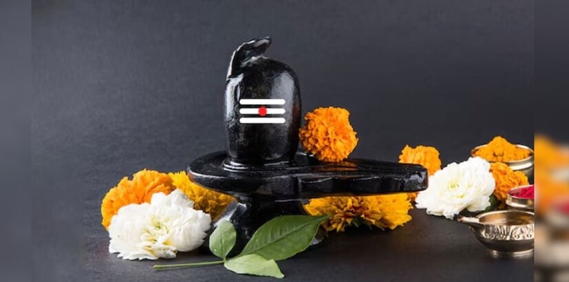বিশিষ্ট জ্যোতিষী পূবালী গুহশাস্ত্রী জানান, শিবরাত্রি দিনটিকে খুবই পবিত্র দিন বলে মনে করা হয়। মনে করা হয়, এই দিনে নিয়ম মেনে শিবের পুজো করলে শুভ ফল পাওয়া যায়। অনেকেই শিবরাত্রিতে উপোস করে থাকেন। তারপরে শিবের পুজো করে ব্রত ভাঙেন।