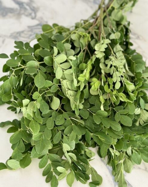 সজনে পাতা হাঁপানি শ্বাসনালী সংকোচন এবং শ্বাসনালীতে প্রদাহ প্রতিরোধ করতে পারে। রক্ত চাপ নিয়ন্ত্রণেও সাহায্য করে সজনে পাতা। ডায়াবেটিস নিয়ন্ত্রণ করতেও উপকারী ভূমিকা পালন করে। বিশেষ করে ঋতু পরিবর্তনের সময় বিভিন্ন রোগের প্রকোপ থেকে রক্ষা পেতে সজনে পাতা ফুল এবং ফল খাওয়া অত্যন্ত উপকারী।