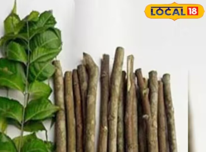 নিম আপনার দাঁতের জন্য অসাধারণ। এই তেতো স্বাদের ভেষজটির পরিষ্কার করার ক্ষমতার জন্য অত্যন্ত মূল্যবান কারণ এতে অ্যান্টিব্যাকটেরিয়াল এবং অ্যান্টি-ইনফ্লেমেটরি বৈশিষ্ট্য রয়েছে, তাই এটি আসলে আপনার দাঁতকে আরও ভালভাবে পরিষ্কার করতে এবং দীর্ঘমেয়াদে ময়লা জমা কমাতে সাহায্য করতে পারে।