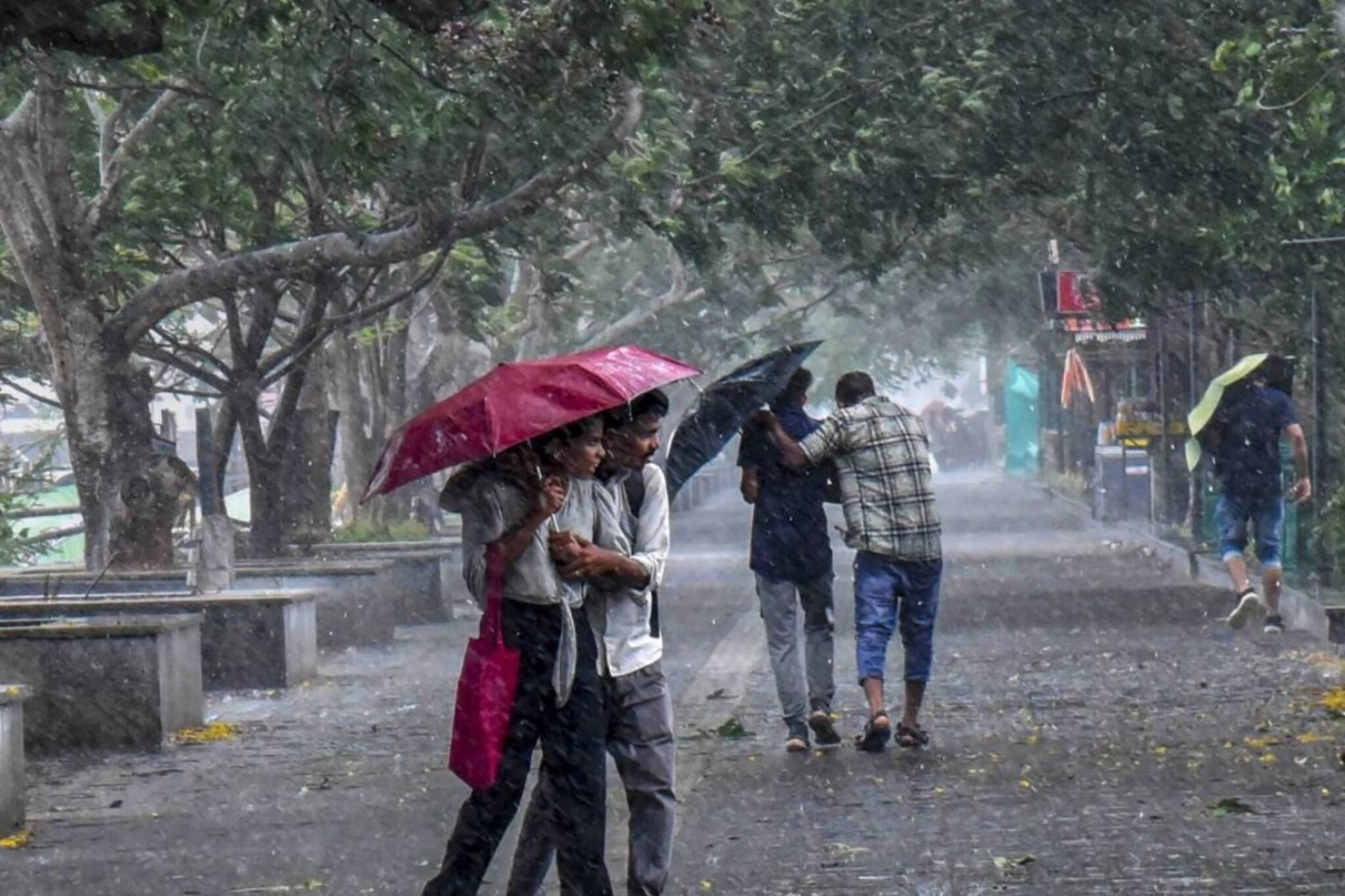রবি থেকেই হাওয়া বদল! ঘূর্ণবাতের তাণ্ডব সাগরে, বৃষ্টিতে ভিজবে কোন কোন জেলা?