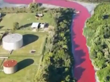 ঘুম ভেঙেই তীব্র দুর্গন্ধ...! খালের জলটা এরকম টকটকে লাল হল কী করে? ভিডিও দেখলে শিউরে উঠবেন 