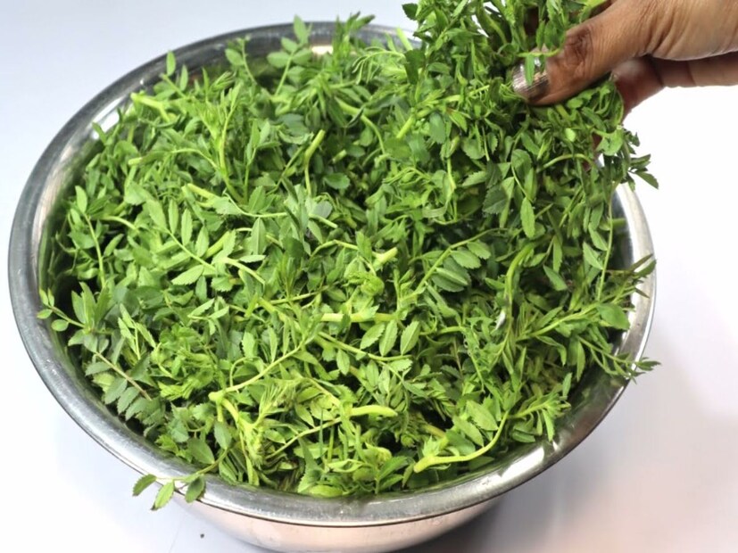 হজম ব্যবস্থা ঠিক থাকবে :ছোলার শাক আমাদের হজমশক্তি ভাল রাখতে এবং পেটের সমস্যা নিরাময়ে সহায়ক। এটি শরীরে সুস্থ হজমশক্তি বজায় রাখে।