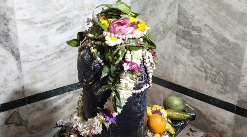 বহু দূর দূরান্ত থেকে পঞ্চমুখী শিব মন্দিরে নিজেদের মনস্কামনা নিয়ে আসে ভক্তরা, ভক্তদের বিশ্বাস বাঘডাঙ্গা পঞ্চমুখী শিব মন্দিরের এই শিবের কাছে যা মনস্কামনা নিয়ে আসা হয় সবই পূরণ করে দেবাদিদেব মহাদেব। এটাই বিশ্বাস মানুষের। শিব চতুদর্শী উপলক্ষে শুক্রবার ও শনিবার সকাল থেকেই ভিড় হবে বহু ভক্ত ও সাধারণ মানুষের।