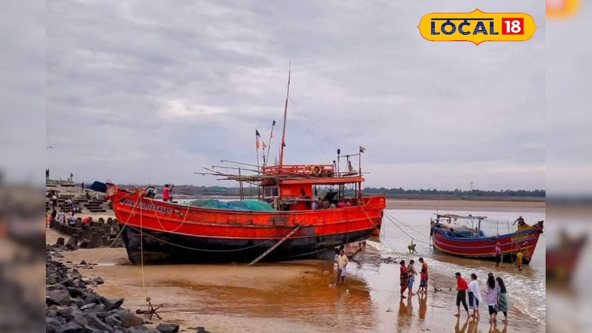 মঙ্গলবার দিনভর বাংলার কোন জেলায় কেমন থাকবে আবহাওয়া? কলকাতায় নামবে বৃষ্টি? আলিপুরের আপডেট