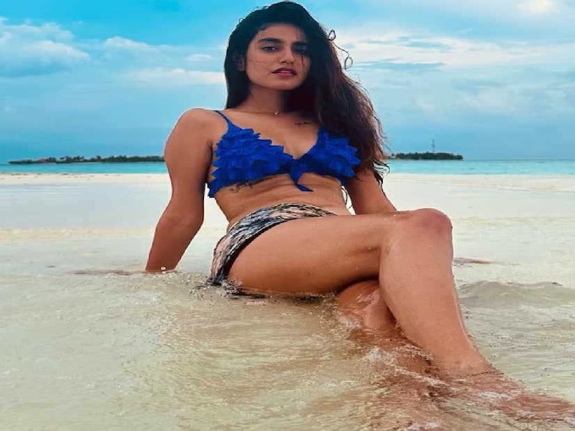 ‘ওরু আদার লাভ’-এর পর প্রিয়া বলিউডেও কাজ করেছেন। তিনি ‘শ্রীদেবী বাংলো’ এবং ‘লাভ হ্যাকস’-এর মতো সিনেমায় অভিনয় করেছেন। বিভিন্ন মিউজিক ভিডিওতে কাজ করেছেন, যেখানে তাঁকে একদম নতুন লুকে দেখা গিয়েছে। বলিউডের পাশাপাশি দক্ষিণী সিনেমাতেও তিনি এখন বেশ জনপ্রিয় মুখ। 