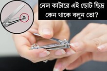 নেল কাটারের পেছনে এই ছোট ছিদ্র কেন থাকে বলুন তো? ৯৯% লোকজনই জানেন না এর কাজ
